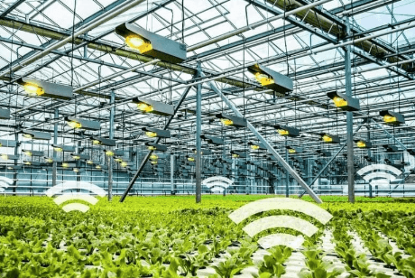 Łatwiej jest uniknąć choroby niż ją leczyć – mądrość przypisywana Hipokratesowi ma swoje konkretne odniesienie w profilaktyce proponowanej przez firmy z branży cyberbezpieczeństwa